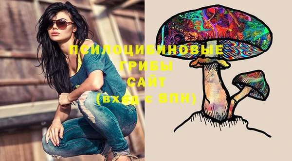 MESCALINE Новозыбков