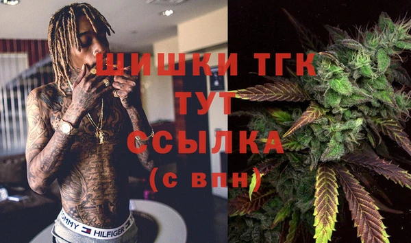 гидра Новокубанск