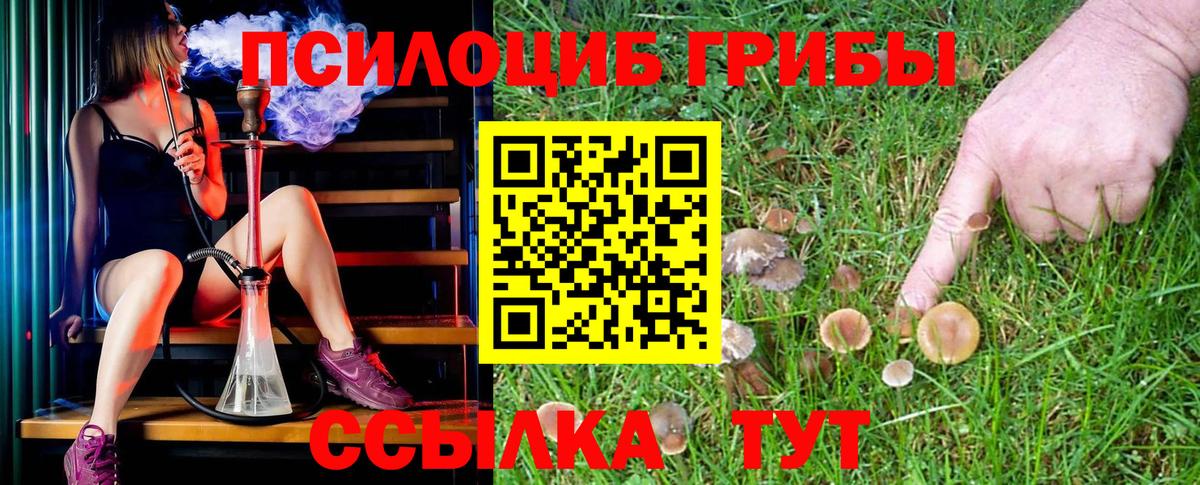 Галлюциногенные грибы прущие грибы  Галлюциногенные грибы MAGIC MUSHROOMS  Нижнеудинск  Вход с VPN 